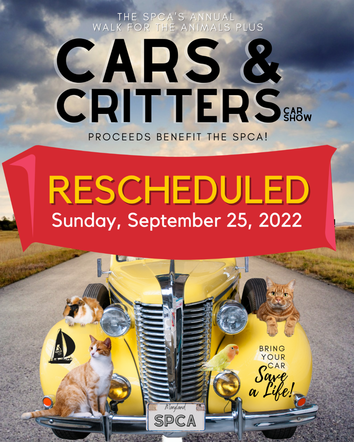 CARS & CRITTERS